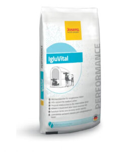 higiena żywienia cieląt