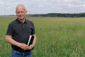 lucerniki i międzyplony