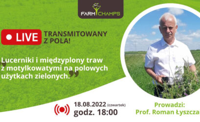lucerniki i międzyplony