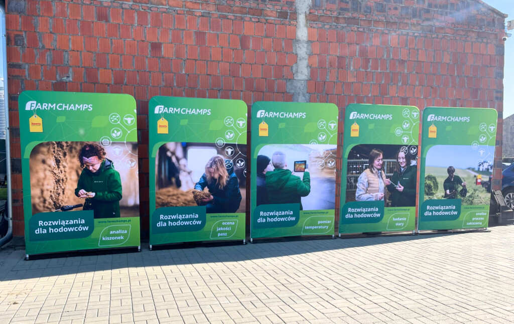 Inrormacje o kiszonce i jej przygotowaniu.