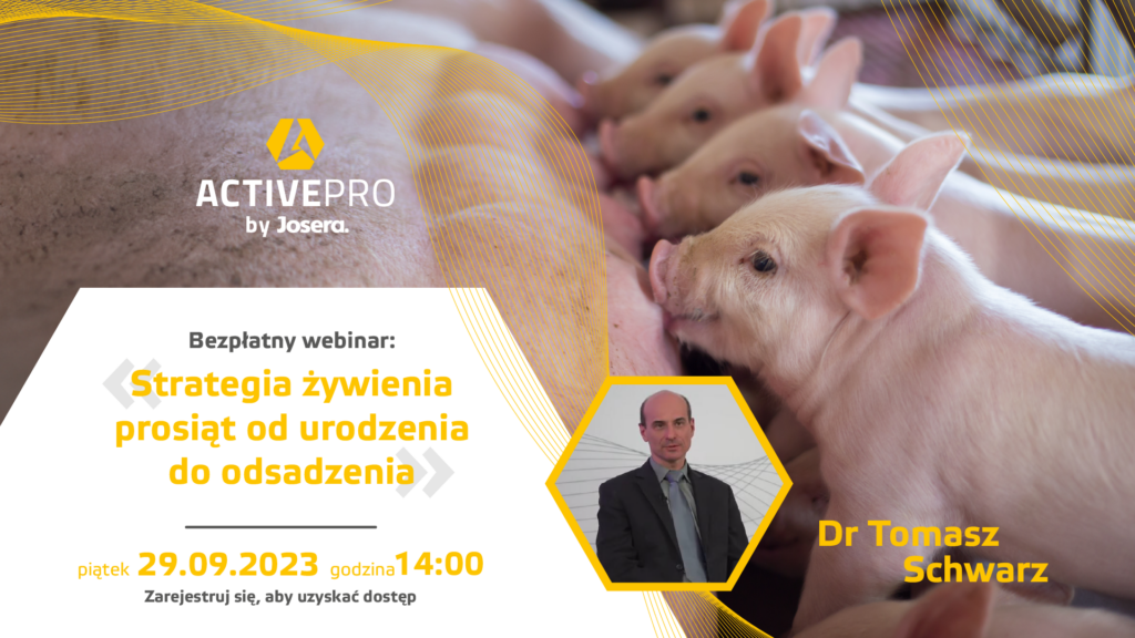 Bezpłatny webinar trzodowy